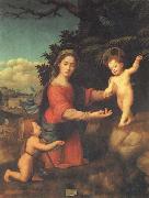 BUGIARDINI, Giuliano Madonna and Child with hte Young St.john t he Baptist oil on canvas